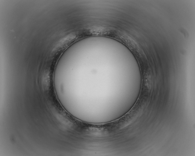 X0000115840690200911131531