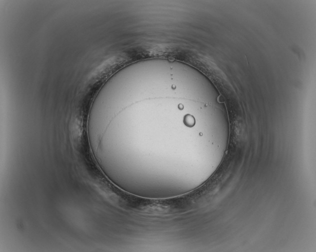 X0000115840691200911131531