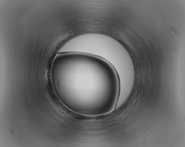 X0000115840692200911131531