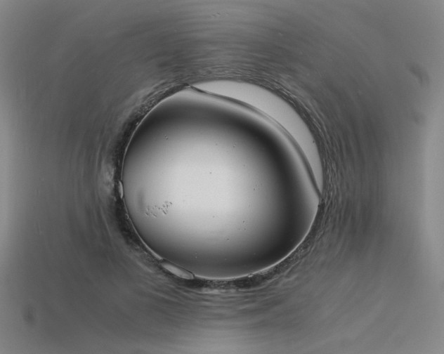 X0000115840693200911131531
