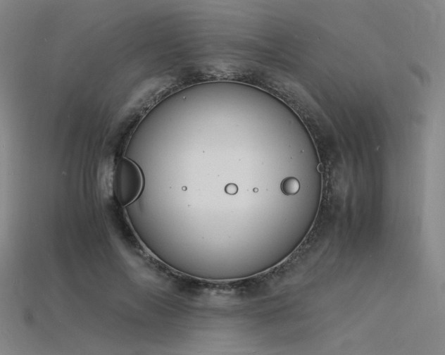 X0000115840694200911131531