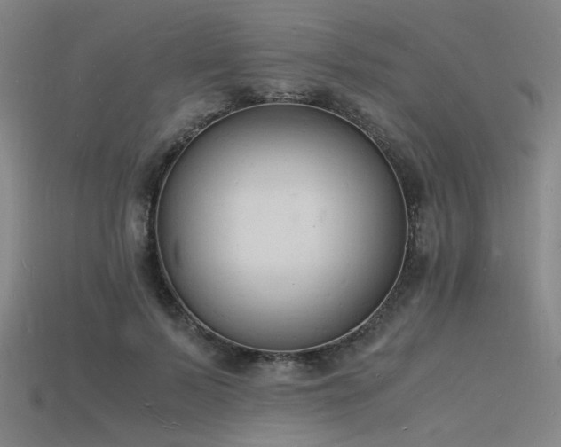 X0000115840695200911131531