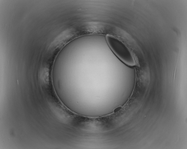 X0000115840696200911131531