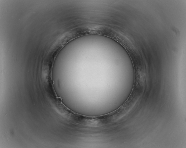 X0000115840698200911131531
