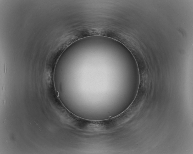 X0000115840699200911131531