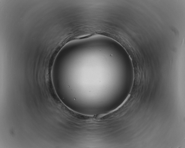 X0000115840700200911131531