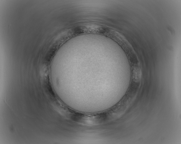 X0000115840701200911131531
