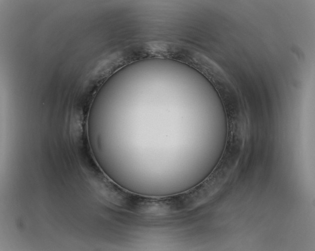 X0000115840702200911131531