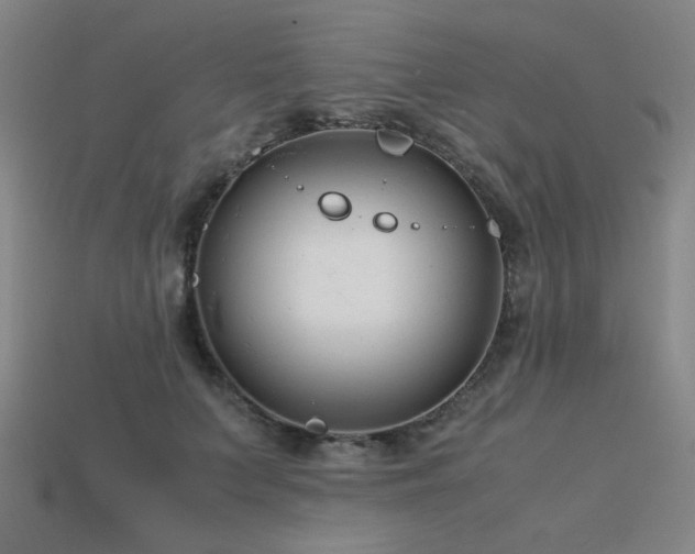 X0000115840703200911131531