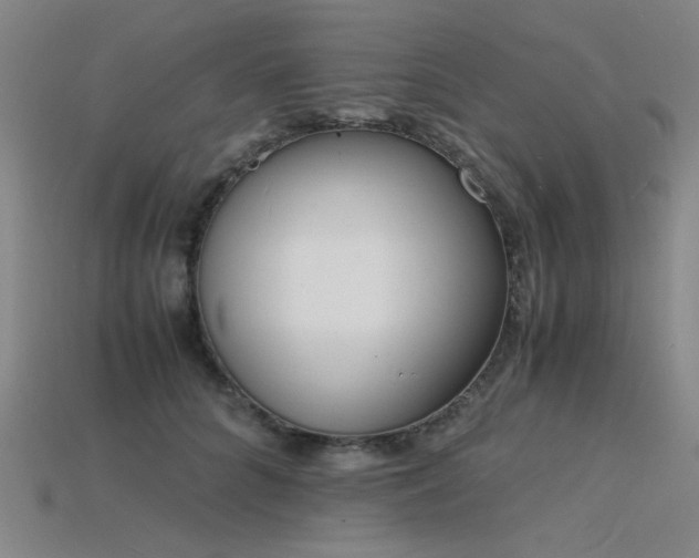 X0000115840704200911131531