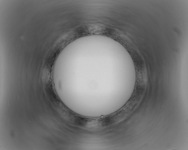 X0000115840705200911131531