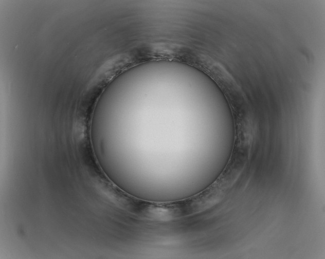 X0000115840706200911131531