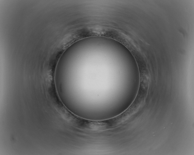 X0000115840707200911131531