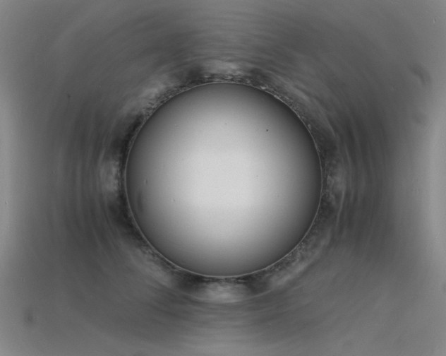 X0000115840708200911131531