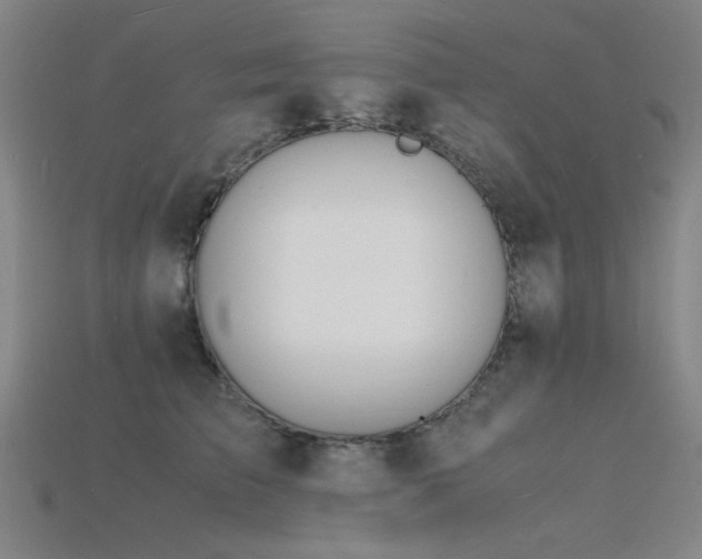 X0000115840709200911131531