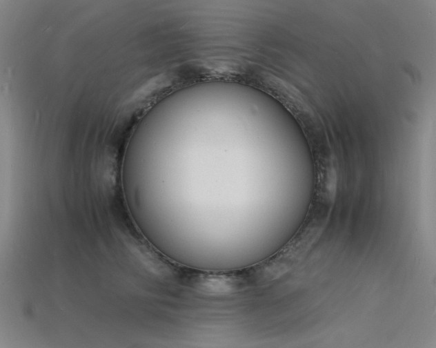 X0000115840710200911131531