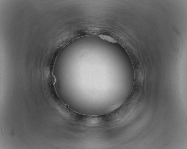 X0000115840711200911131531