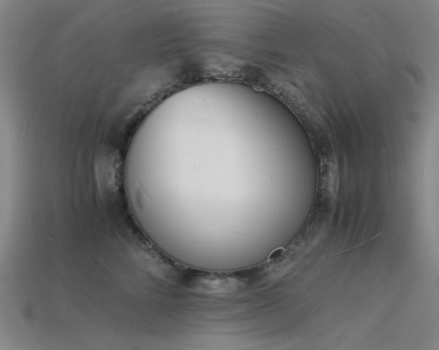 X0000115840712200911131531
