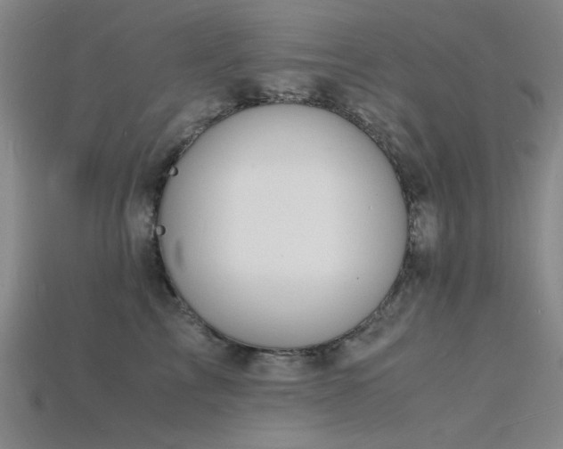 X0000115840713200911131531