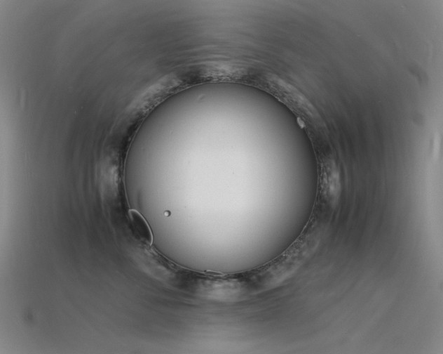 X0000115840716200911131531