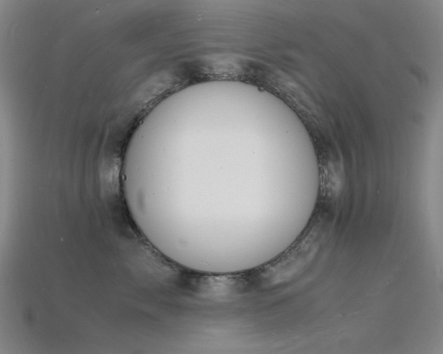 X0000115840717200911131531