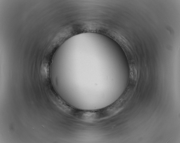 X0000115840718200911131531