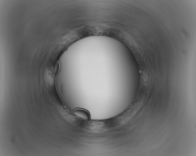 X0000115840719200911131531
