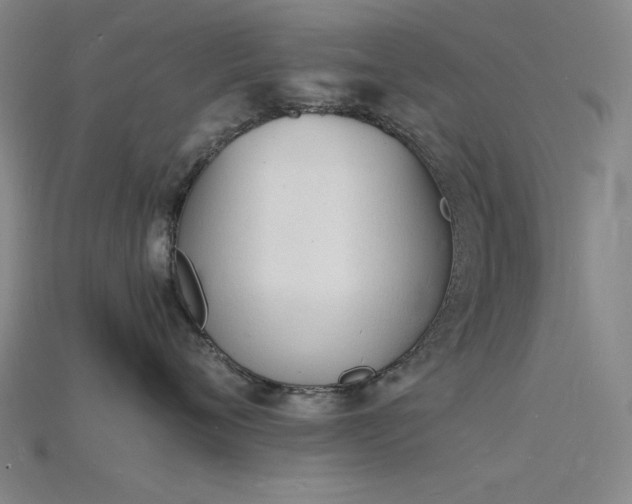 X0000115840720200911131531