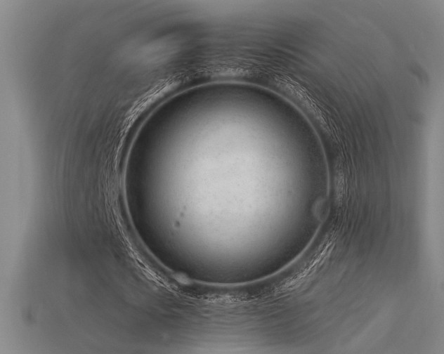 X0000115840721200911131530