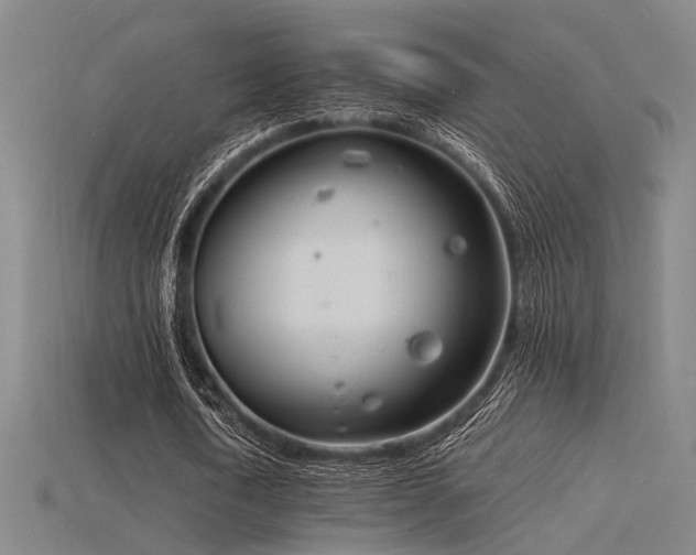 X0000115840722200911131530