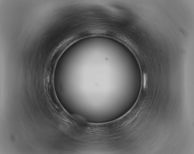 X0000115840723200911131530