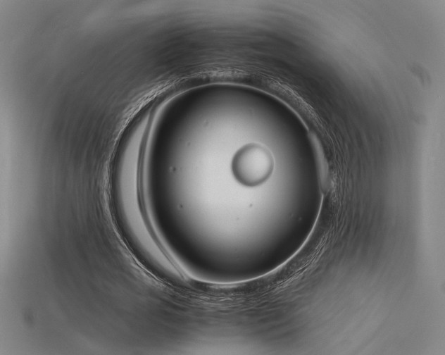 X0000115840725200911131530