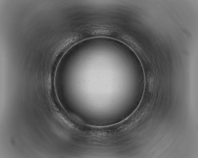 X0000115840729200911131530