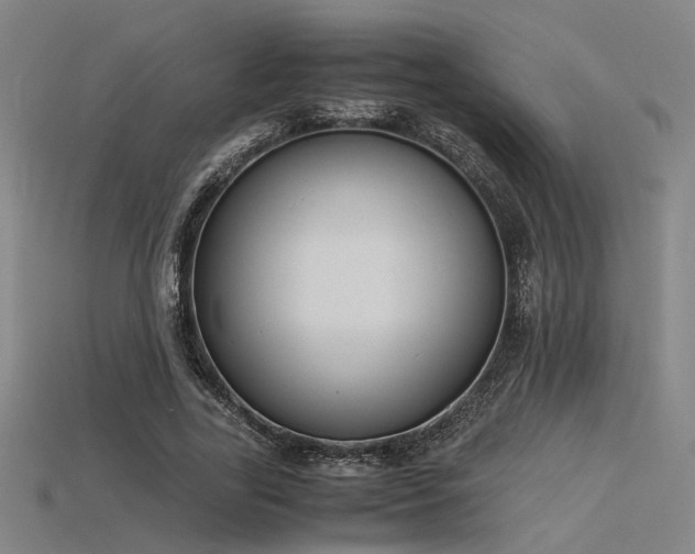X0000115840731200911131530