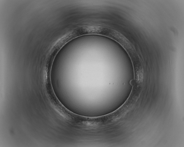 X0000115840733200911131530