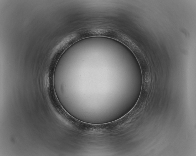 X0000115840734200911131530