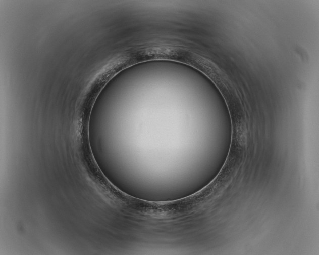 X0000115840735200911131530