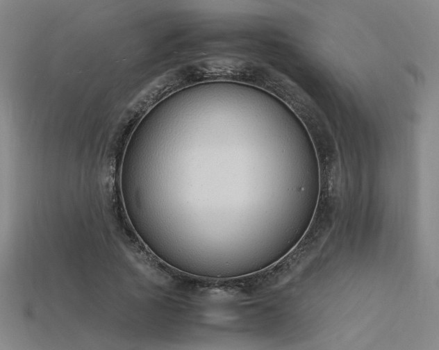 X0000115840737200911131530
