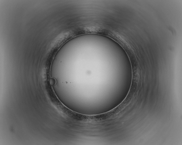 X0000115840738200911131530