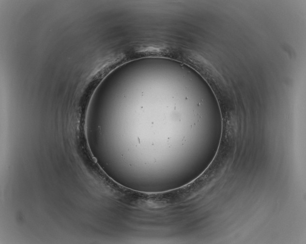 X0000115840739200911131530