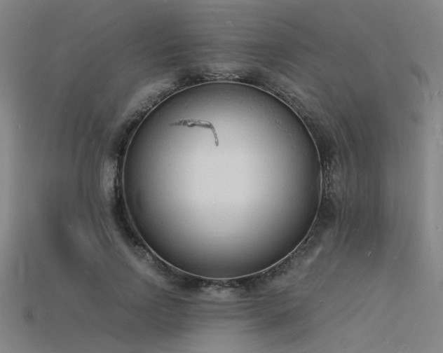 X0000115840742200911131530