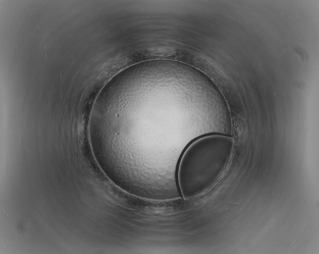 X0000115840745200911131530