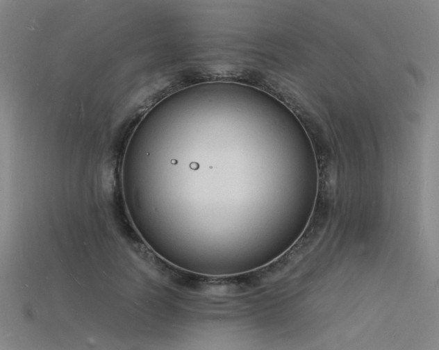 X0000115840746200911131530