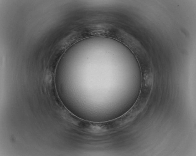 X0000115840753200911131530