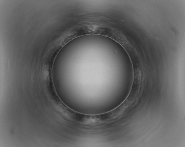 X0000115840754200911131530