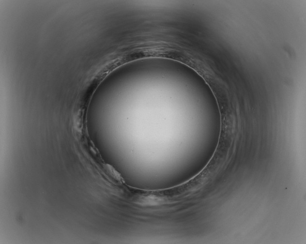X0000115840755200911131530