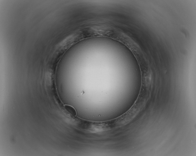 X0000115840757200911131530