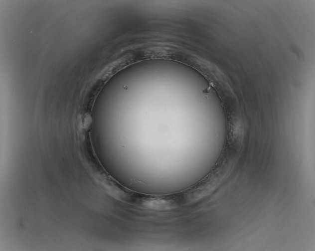 X0000115840759200911131530