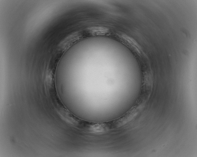 X0000115840761200911131530