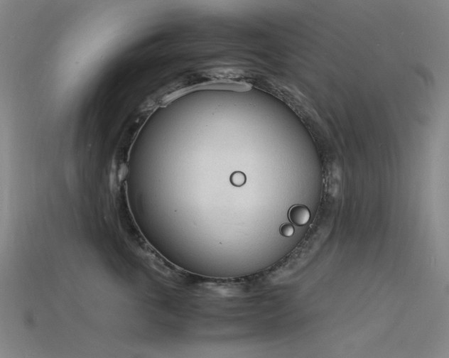 X0000115840763200911131530
